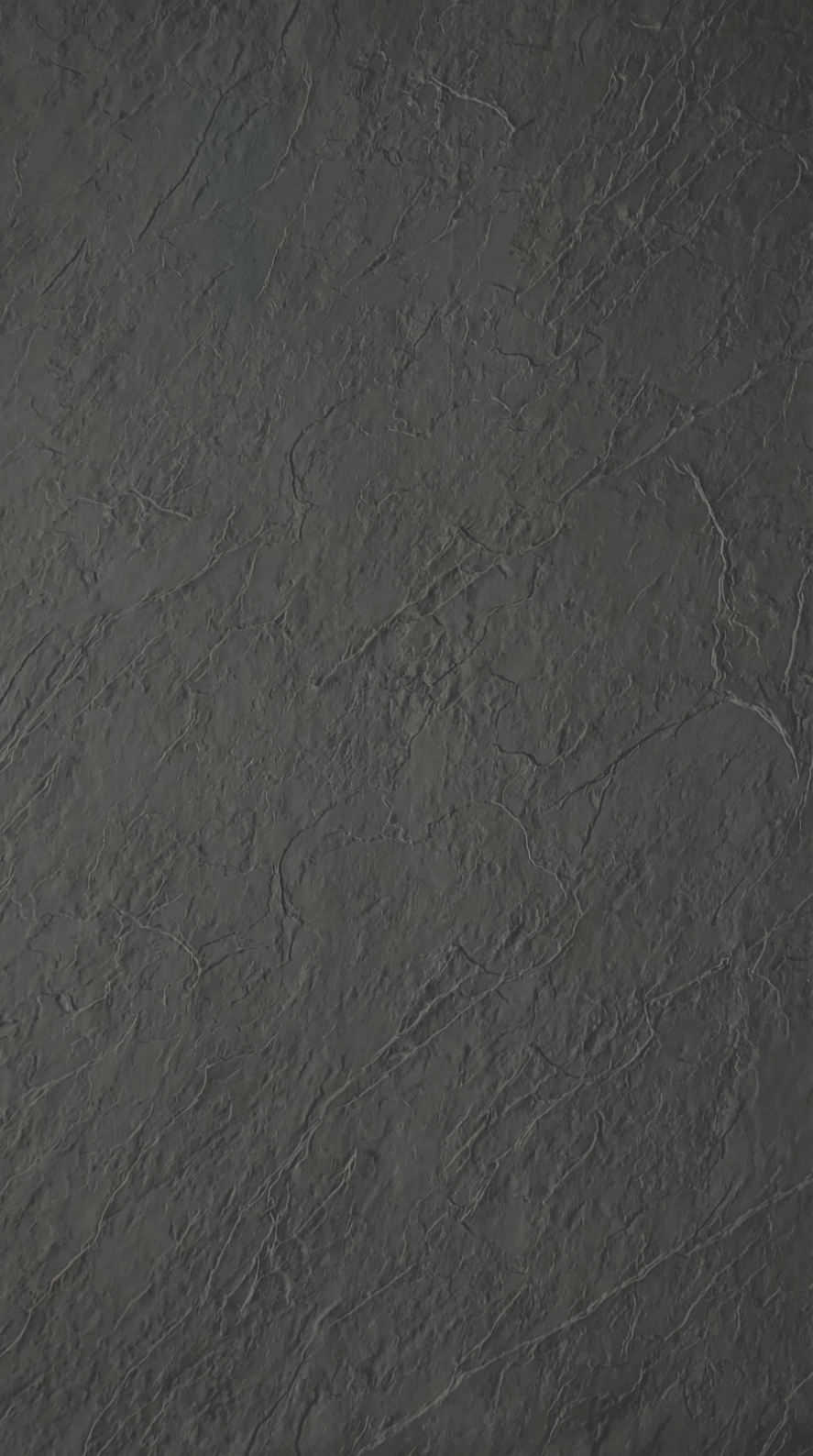 bba66a2e3bc4186cdb01bda7cc592ce9